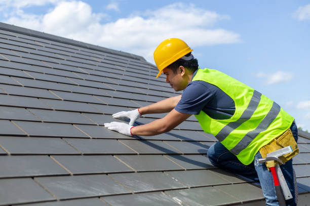 Best Roof Gutter Cleaning  in Canby, MN