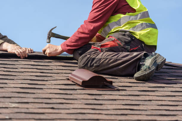 Best Shingle Roofing Installation  in Canby, MN