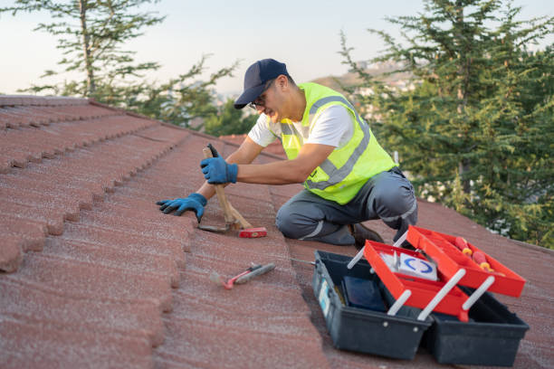 Best Roof Maintenance Services  in Canby, MN