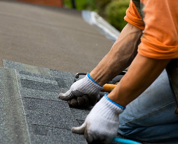 Best Emergency Roof Repair  in Canby, MN