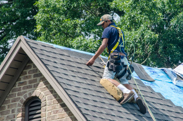 Sealant for Roof in Canby, MN